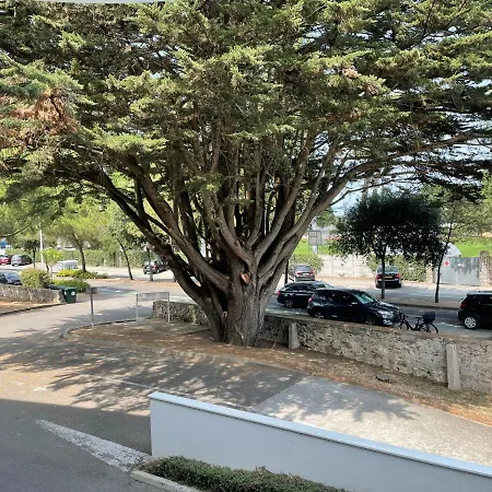 Les Voiles De Apartman